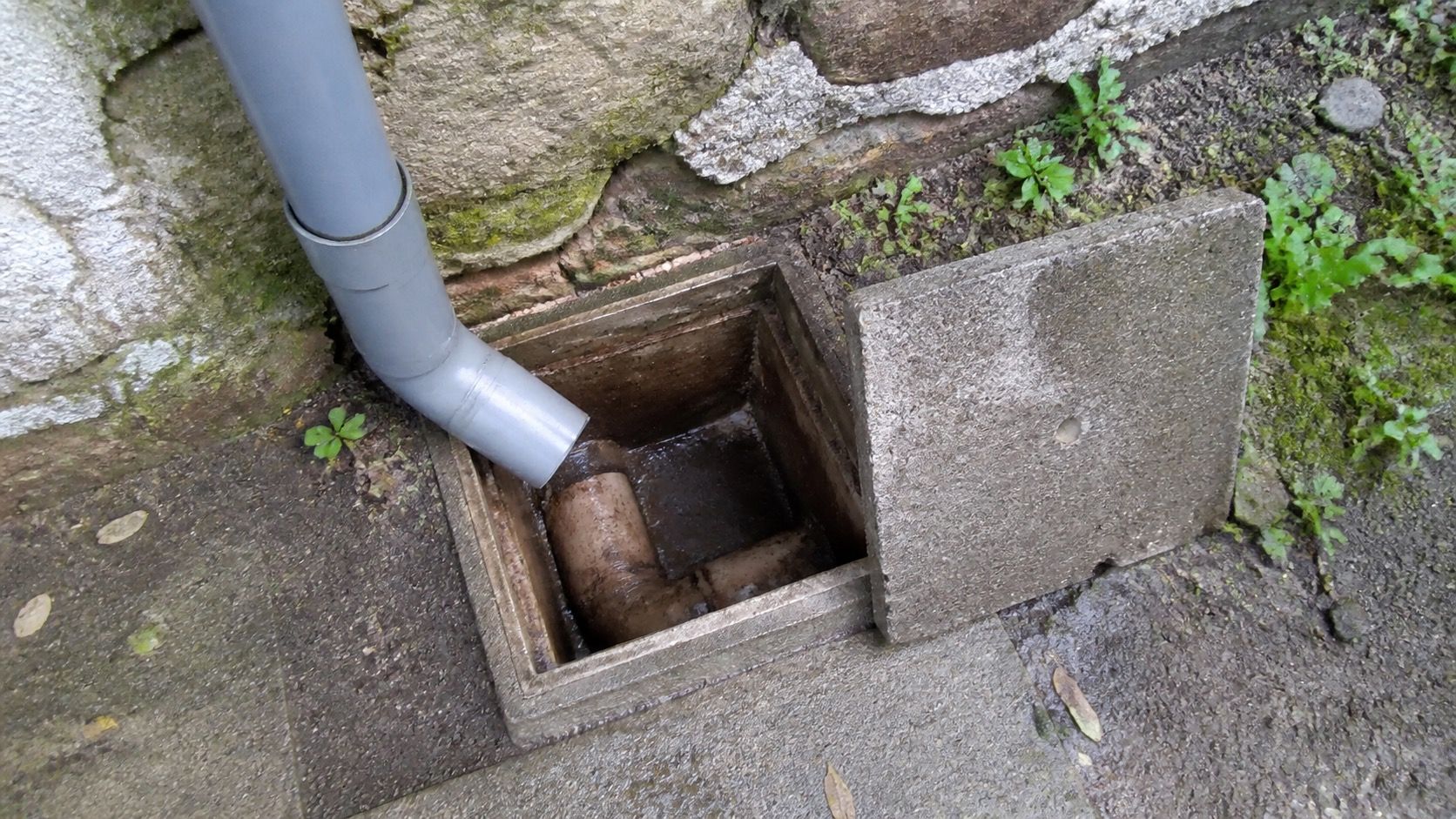 Regard d'eaux usées ouvert avec une descente de gouttière piquée dessus, avant reprise